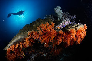 Raja Ampat