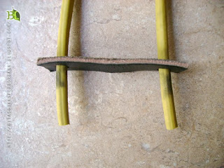 matirreras