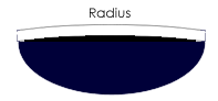 Fender Neck Shape Profiles