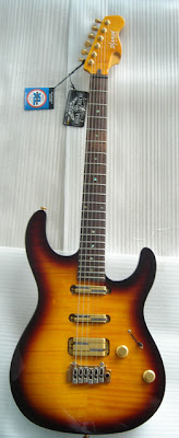 Shaman JPM Standard VGS Guitar