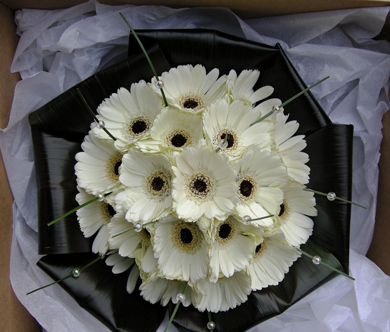 Natalie 39s wedding bouquet of ivory gerberas folded black tie leaves and Natalie 39s wedding bouquet of ivory gerberas folded black tie leaves and