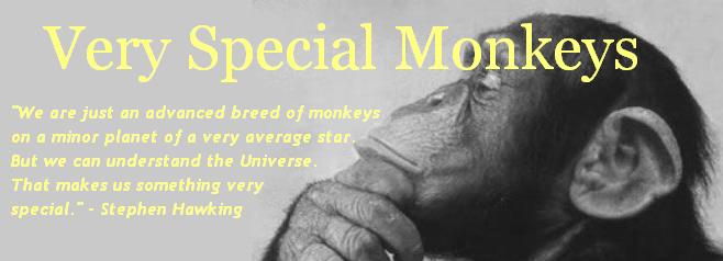 Very Special Monkeys