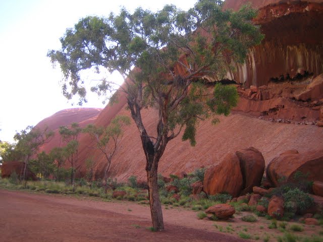Base Walk um Uluru herum
