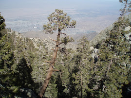 View from the mountain top