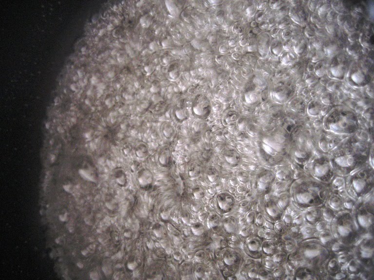 [msc+fleur+bubbles.jpg]