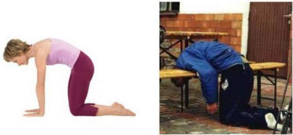 [yoga+vs+drinking-3.jpg]