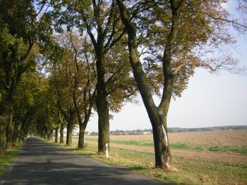 [SummerEnd2(s).jpg]