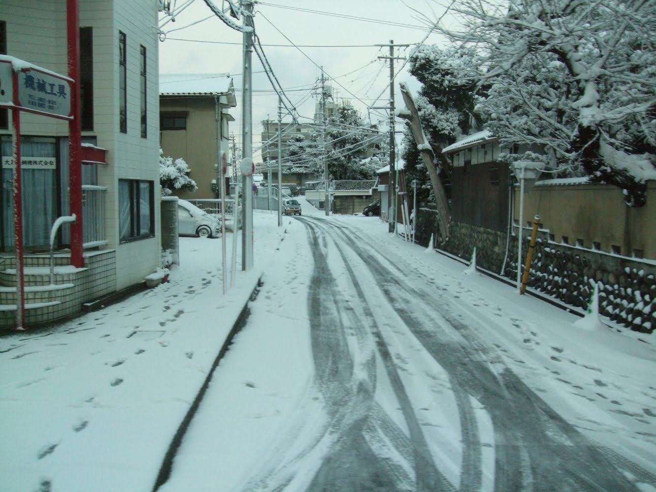The eye in Japan Snow in Nagoya I