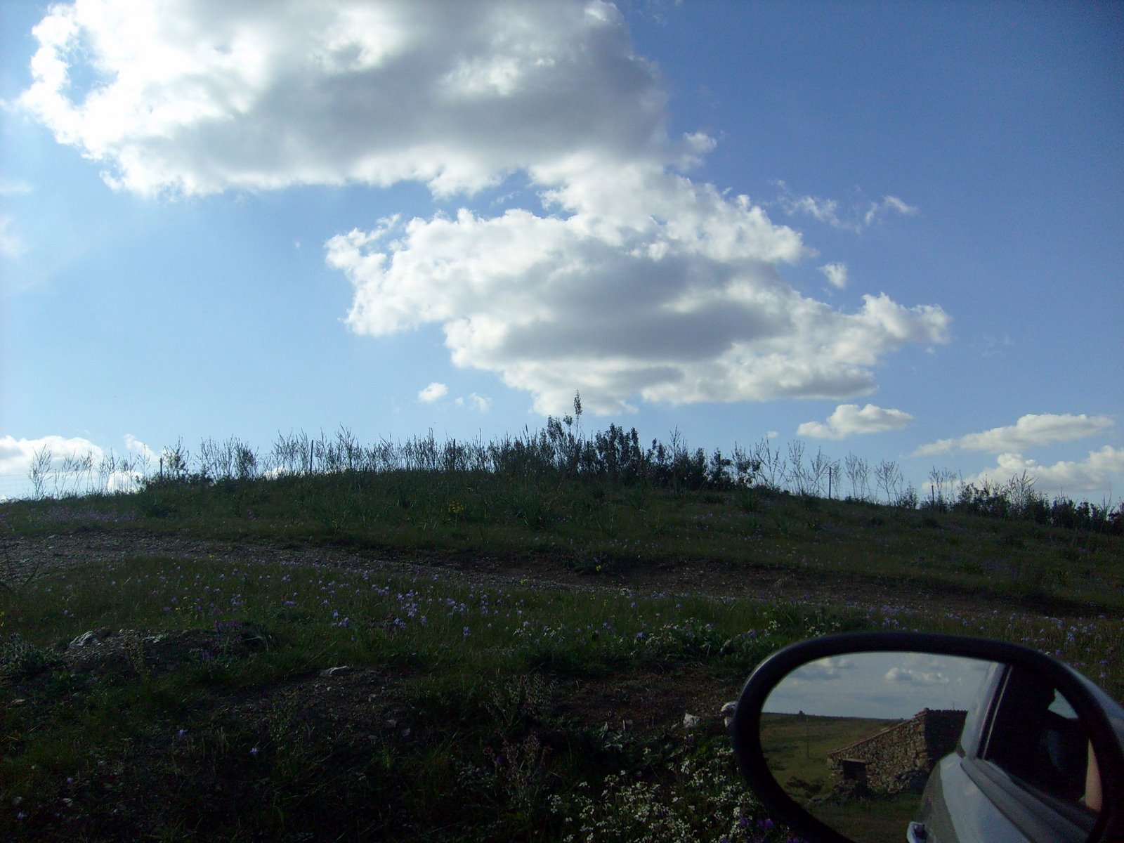 [S7301345.JPG]