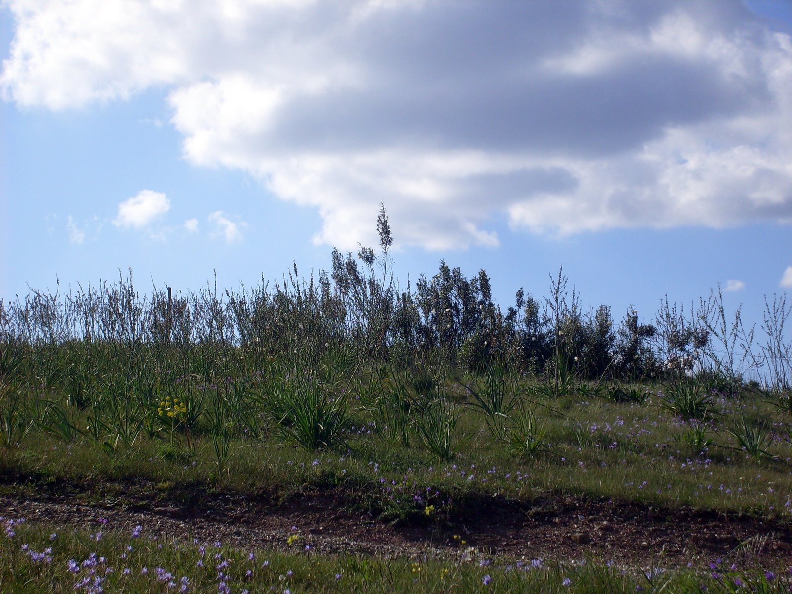 [S7301344.JPG]