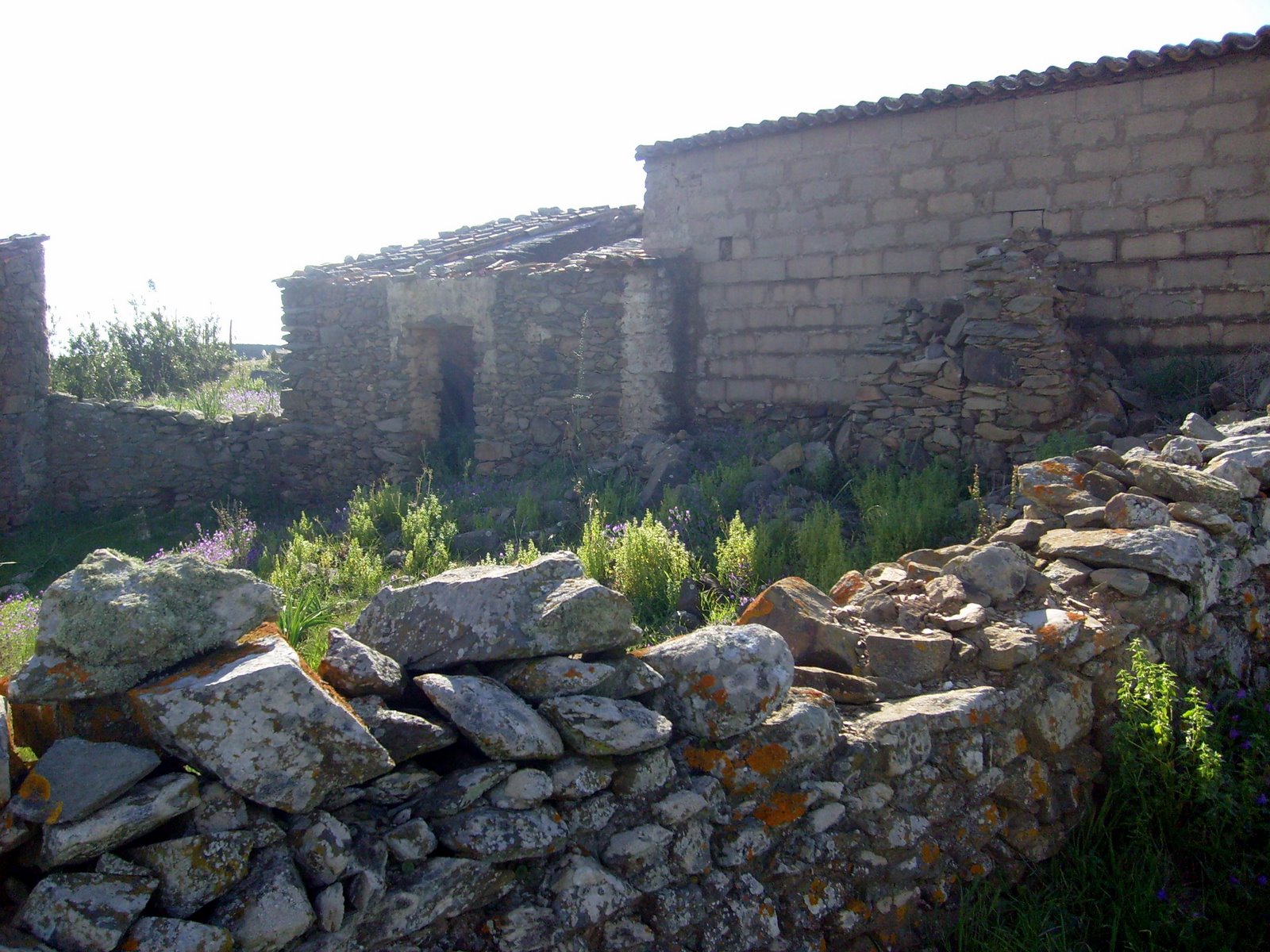[S7301335.JPG]
