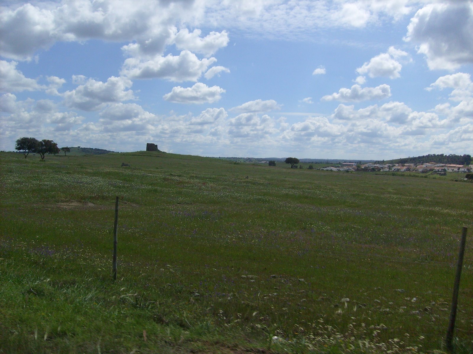 [S7301263.JPG]