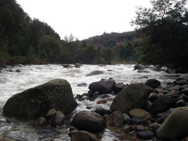 [river+view.JPG]