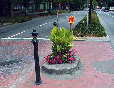 Park