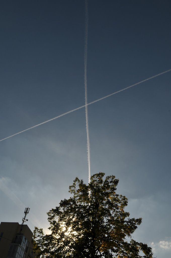 [_CTR8185-781434.JPG]