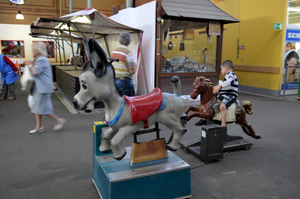 [_CTR8780-771683.JPG]