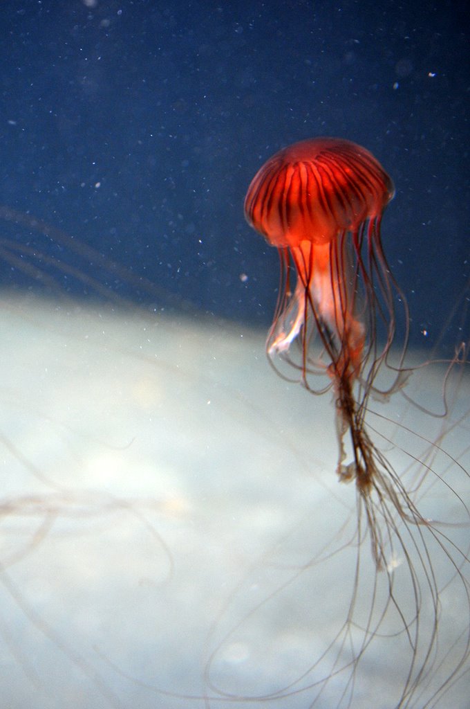 [_CTR9547-757325.JPG]