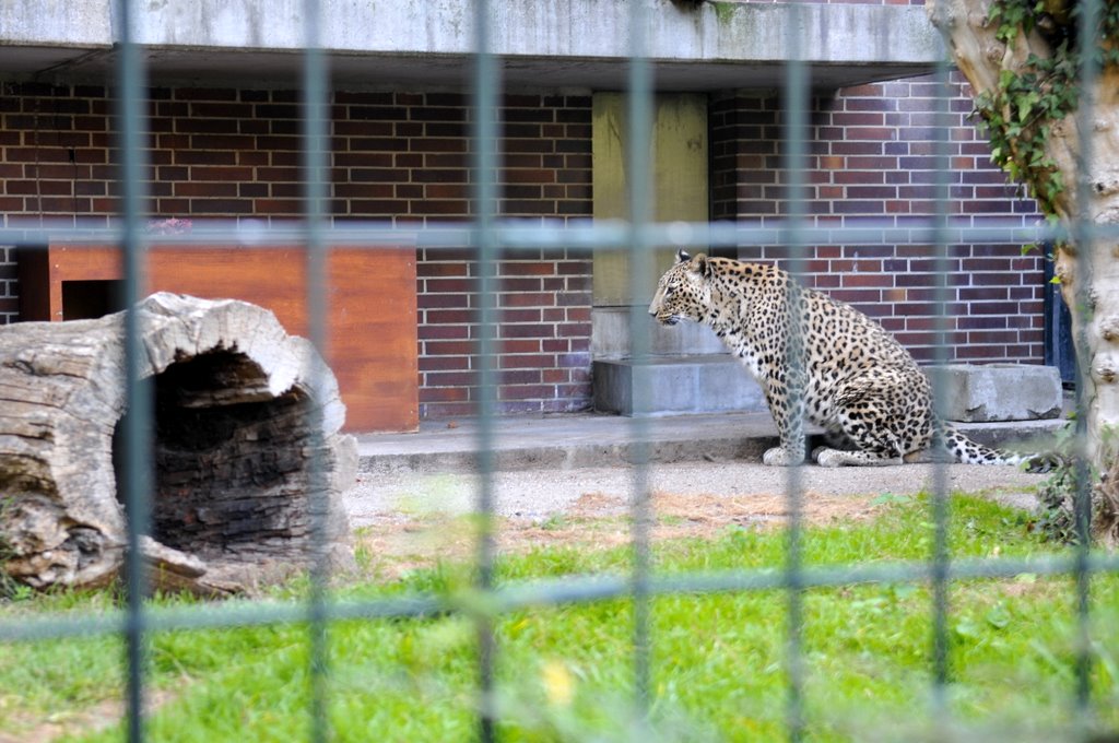 [_CTR9653-758672.JPG]