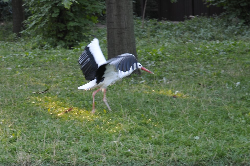 [_CTR9666-760726.JPG]