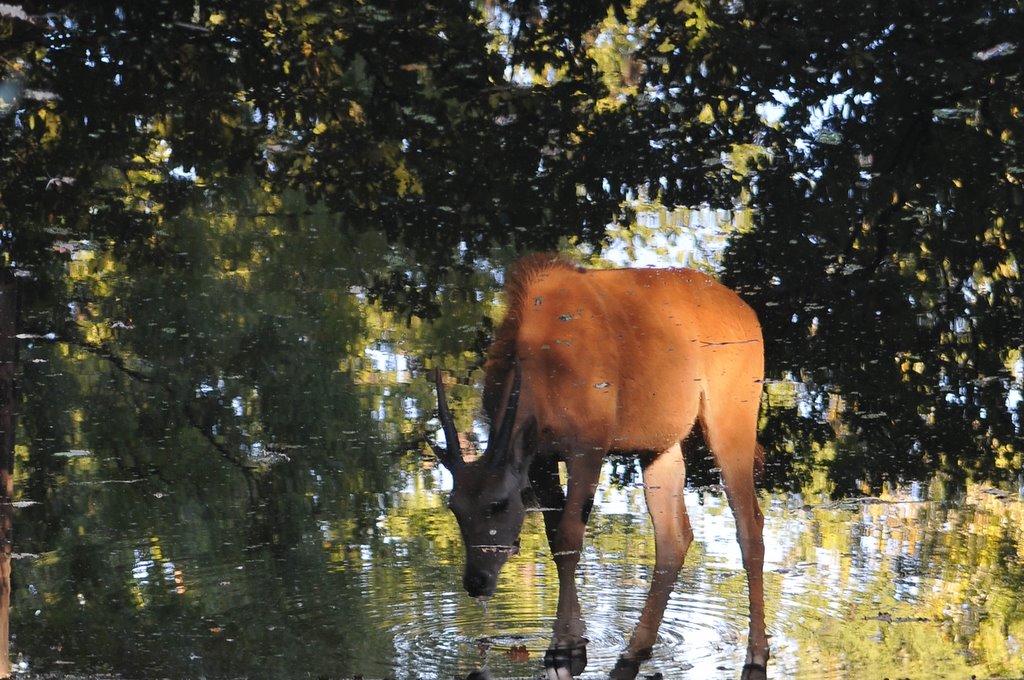 [_CTR9690-764057.JPG]