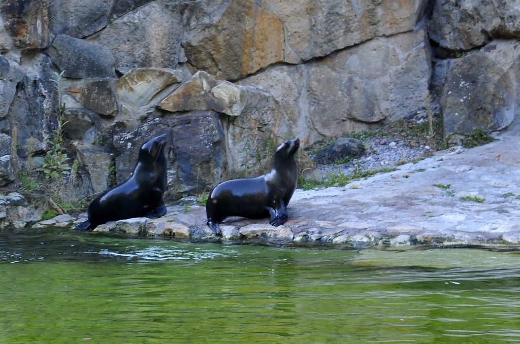 [_CTR9730-766822.JPG]