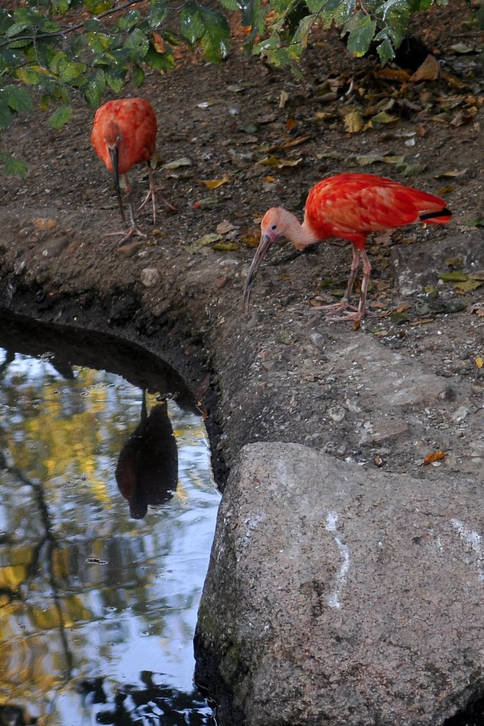 [_CTR9812-769865.JPG]