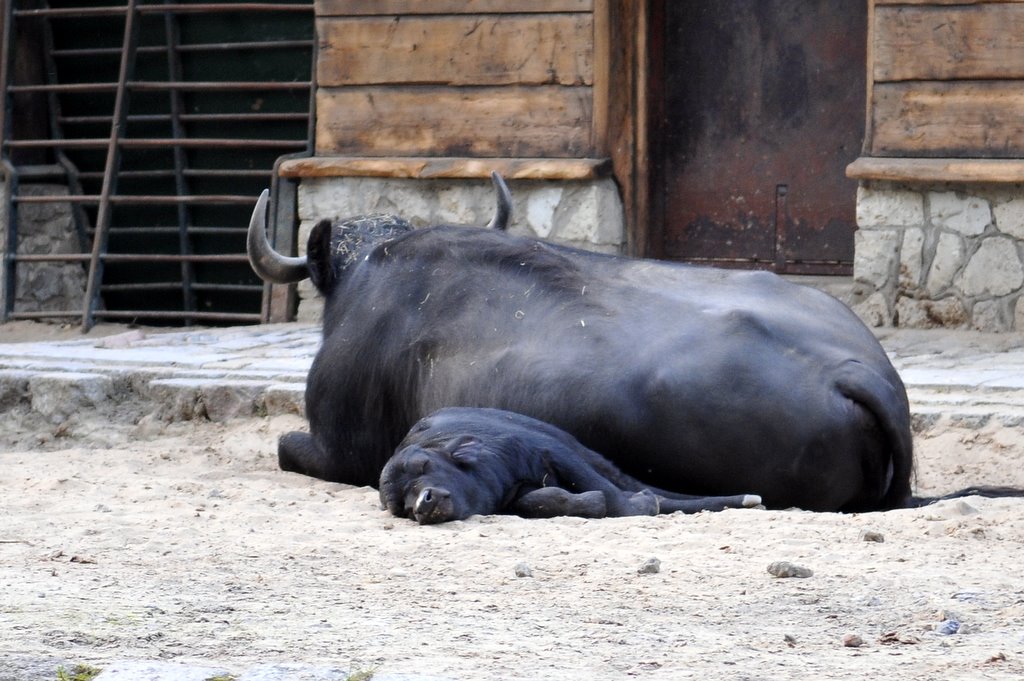 [_CTR9991-777926.JPG]