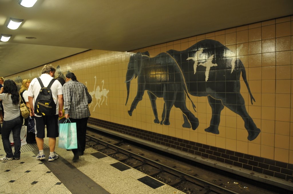 [_CTR0055-783314.JPG]