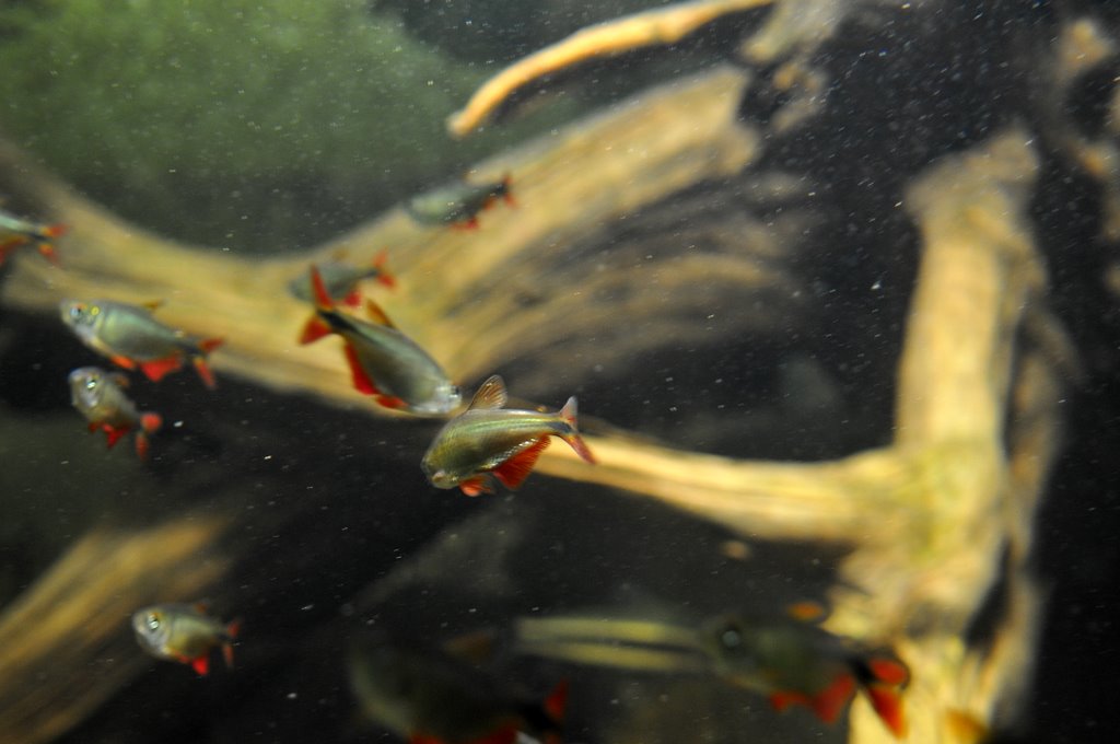 [_CTR9264-750985.JPG]