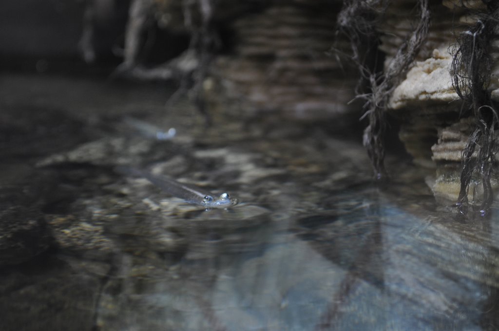 [_CTR9276-752311.JPG]