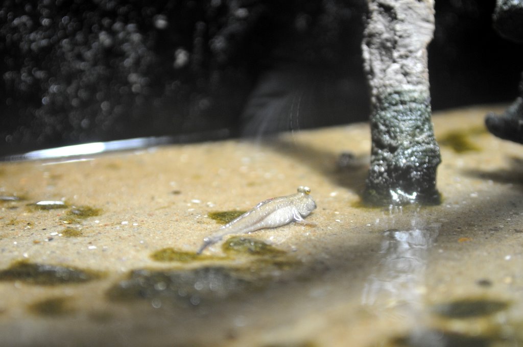 [_CTR9285-753076.JPG]