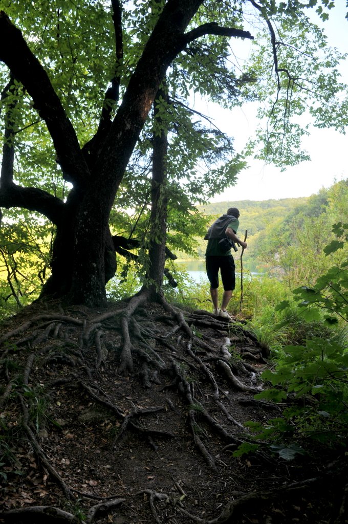 [CTR_8847-768581.jpg]