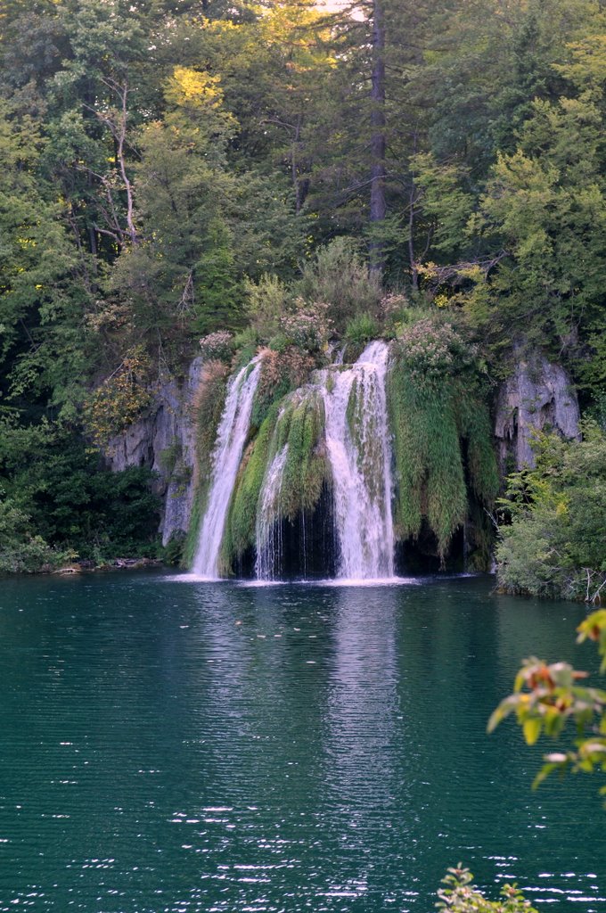 [CTR_8858-769850.jpg]