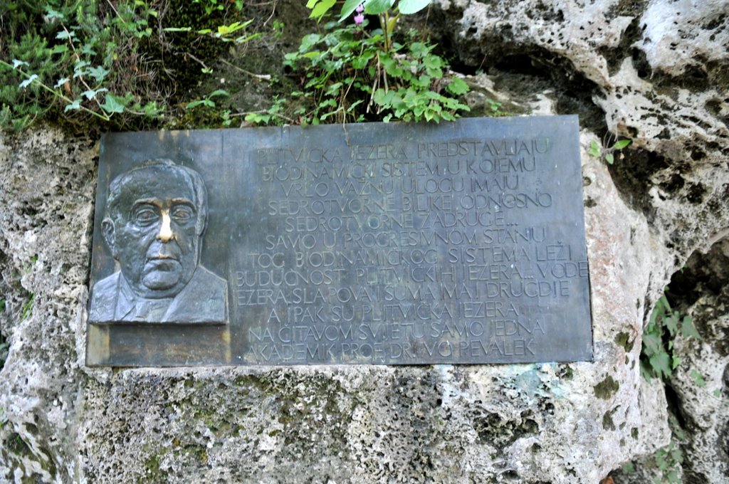 [CTR_9082-778634.jpg]