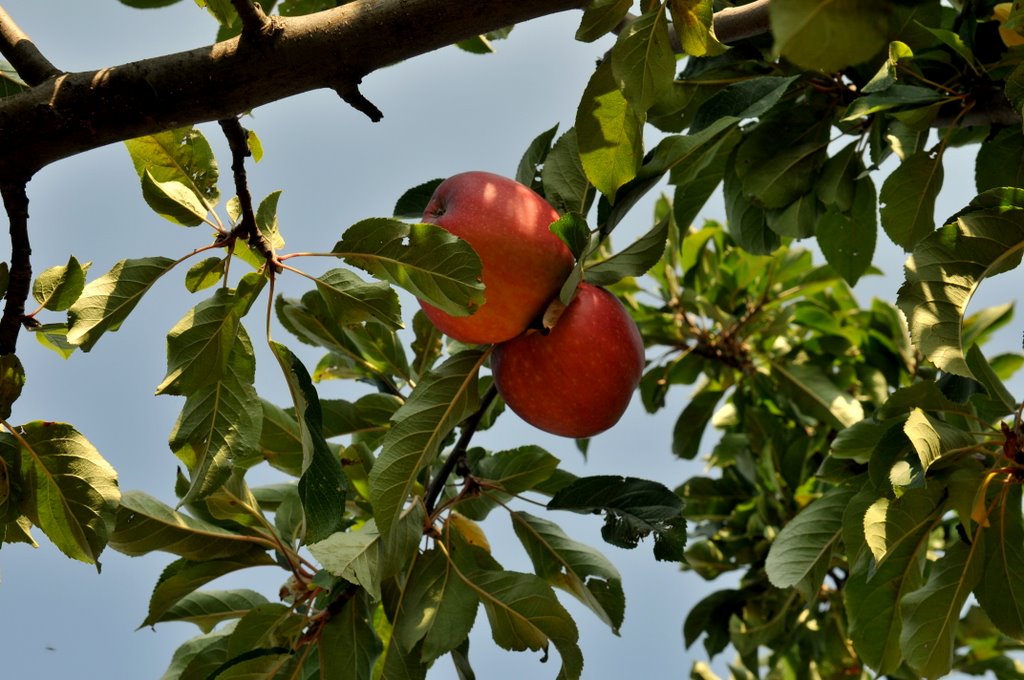 [CTR_9648-733522.jpg]