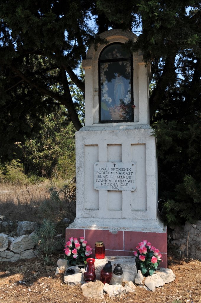 [CTR_9703-736688.jpg]