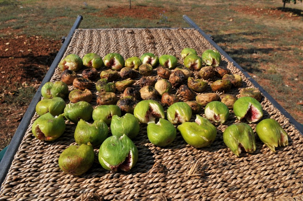 [CTR_0456-762133.jpg]