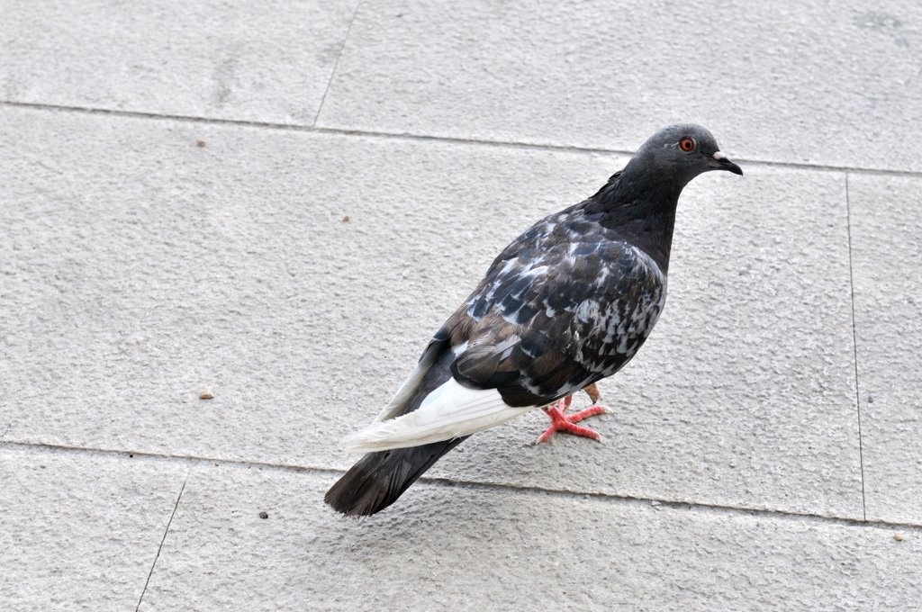 [CTR_2751-760059.jpg]