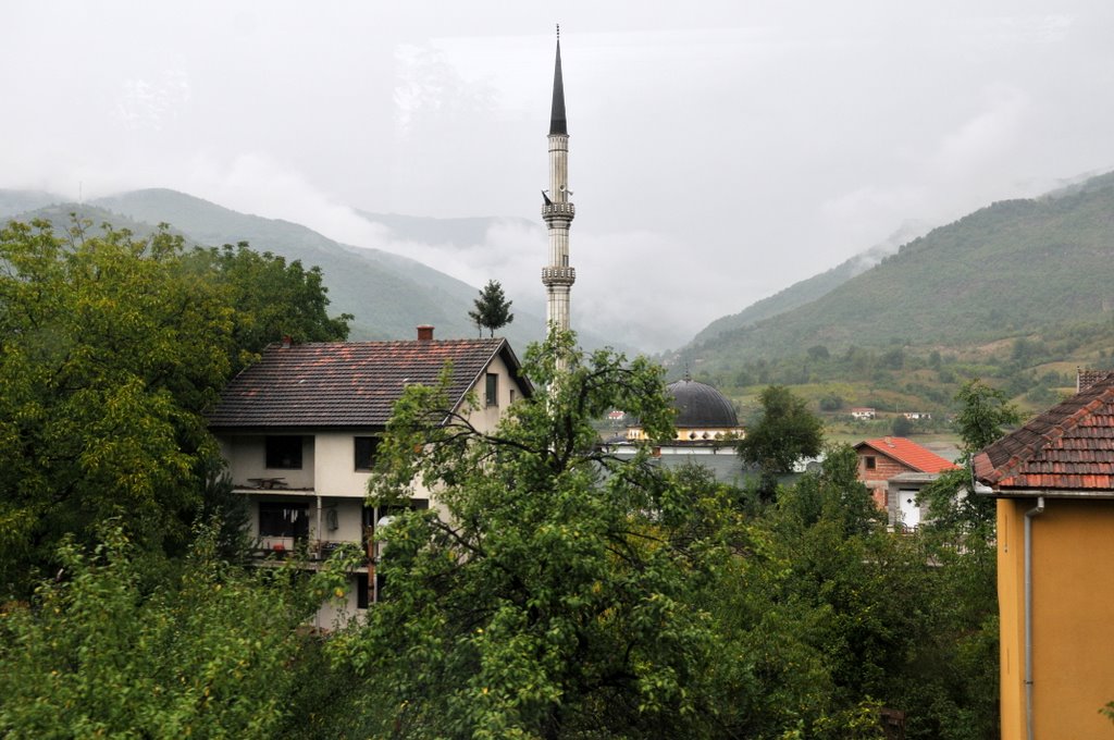 [CTR_3536-794929.jpg]