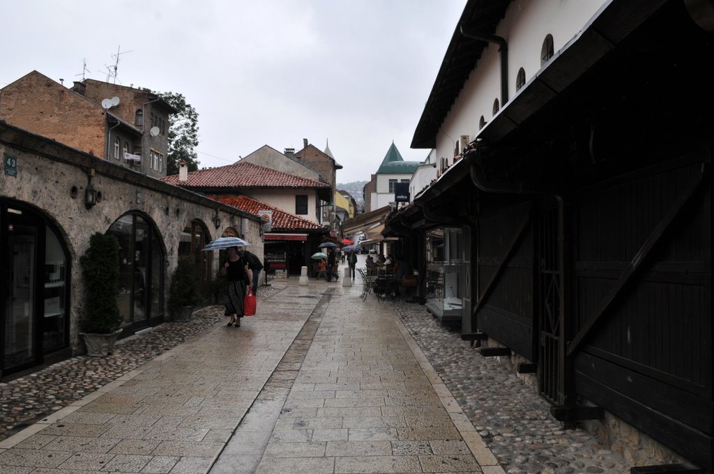 [CTR_3672-768915.jpg]