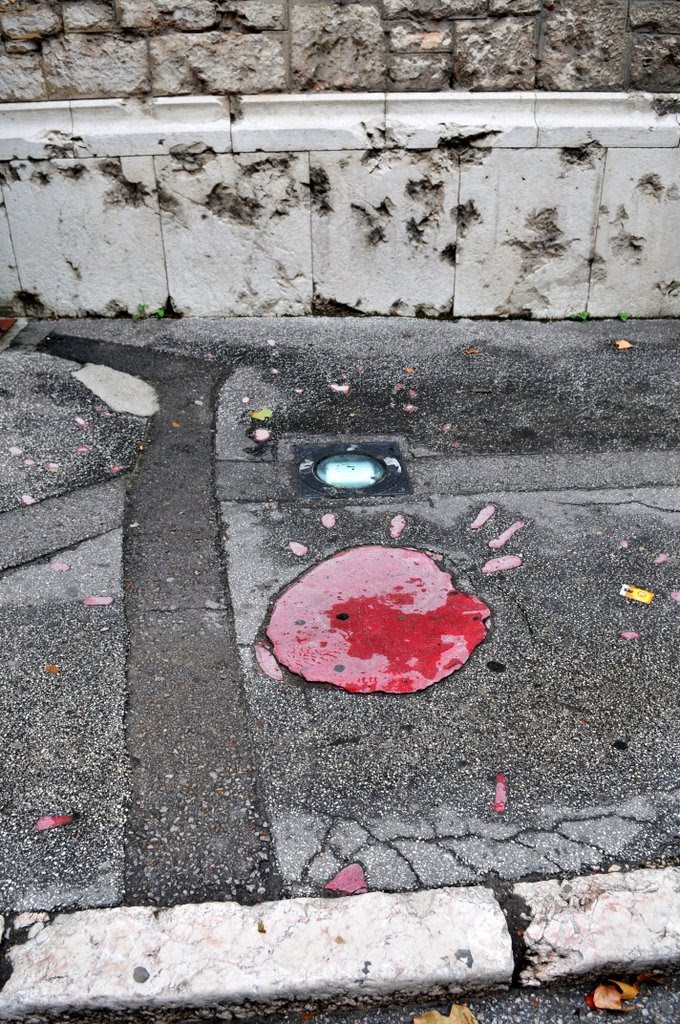 [CTR_3881-791382.jpg]