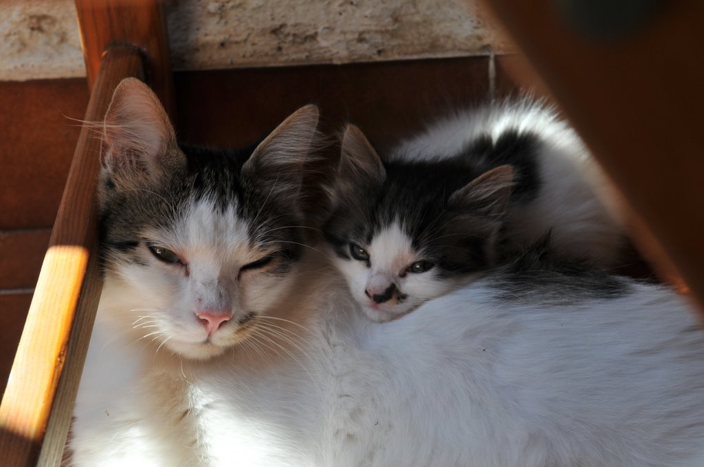 [CTR_4771-785708.jpg]