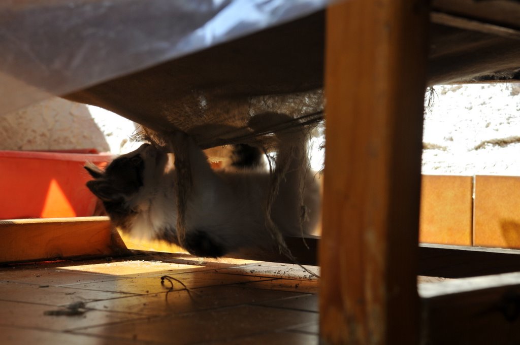 [_CTR5212-707890.jpg]