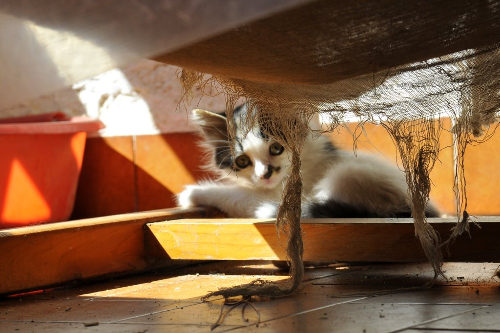 [_CTR5277-709627.jpg]