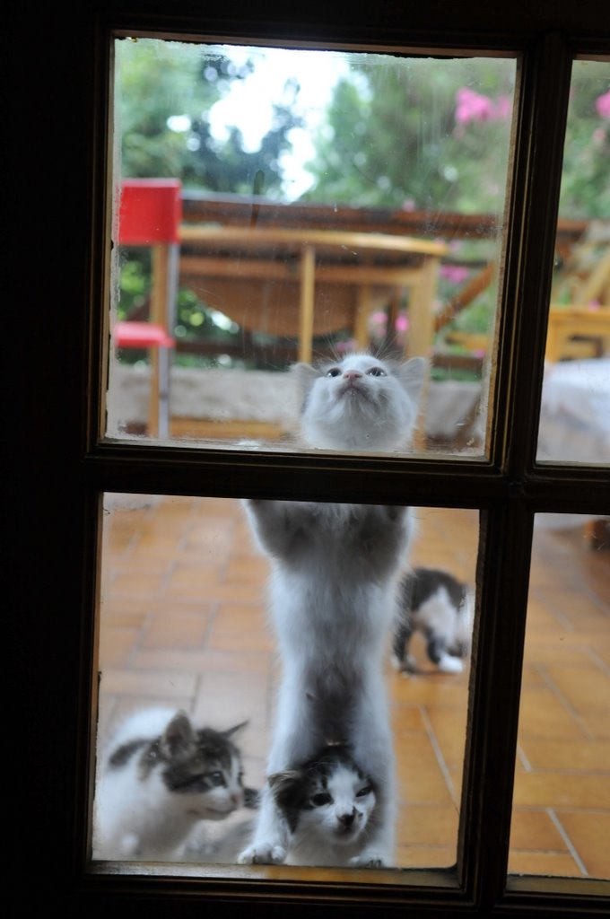 [_CTR5366-767262.jpg]