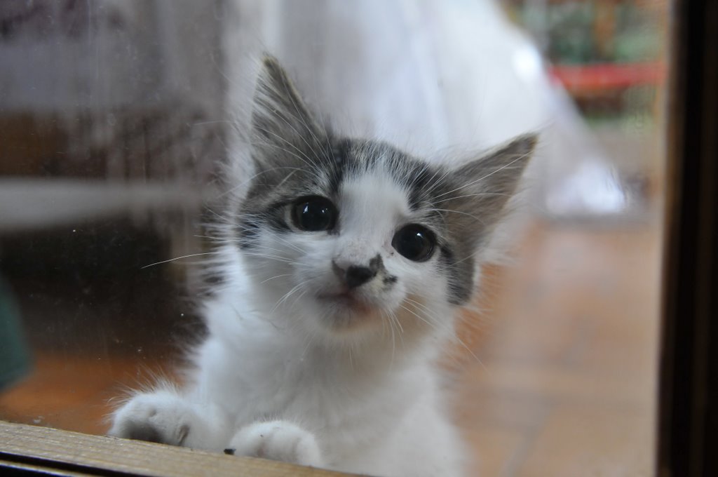 [_CTR5329-765386.jpg]