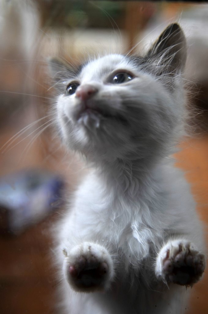 [_CTR5532-775606.jpg]