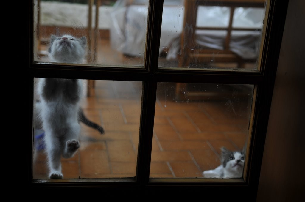 [_CTR5486-773391.jpg]