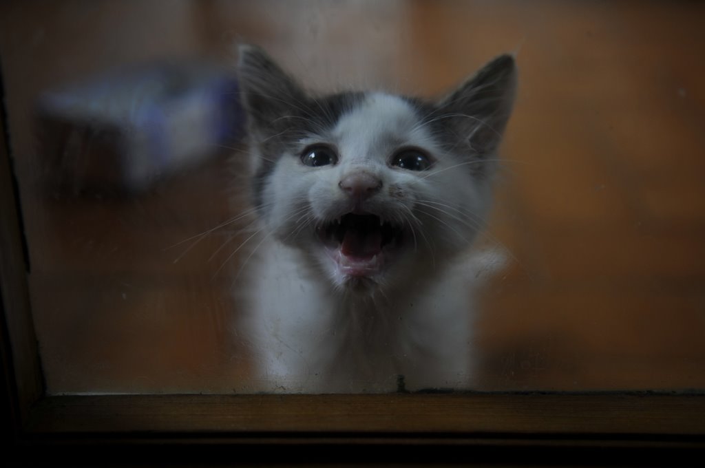 [_CTR5528-774959.jpg]