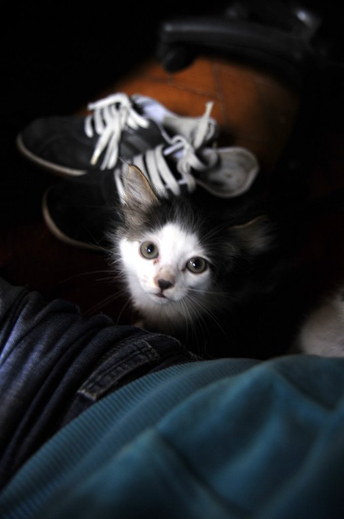 [_CTR5625-777233.jpg]